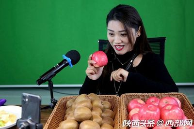 專業合作社引領，果農增收致富路——扶風獼猴桃實現全年供應與銷售新突破