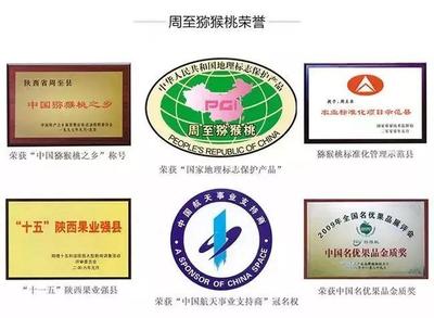 周至獼猴桃盼銷路 萬千兒女的呼喚，您的援手見真情