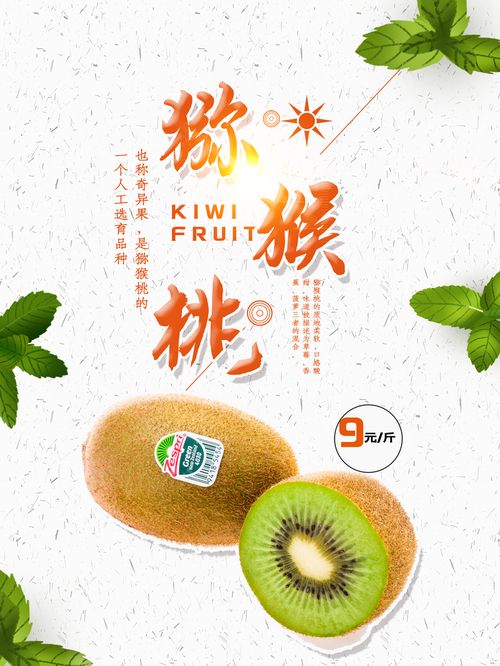 獼猴桃新鮮水果店奇異果超市促銷活動海報 廣告素材 下載至來源處